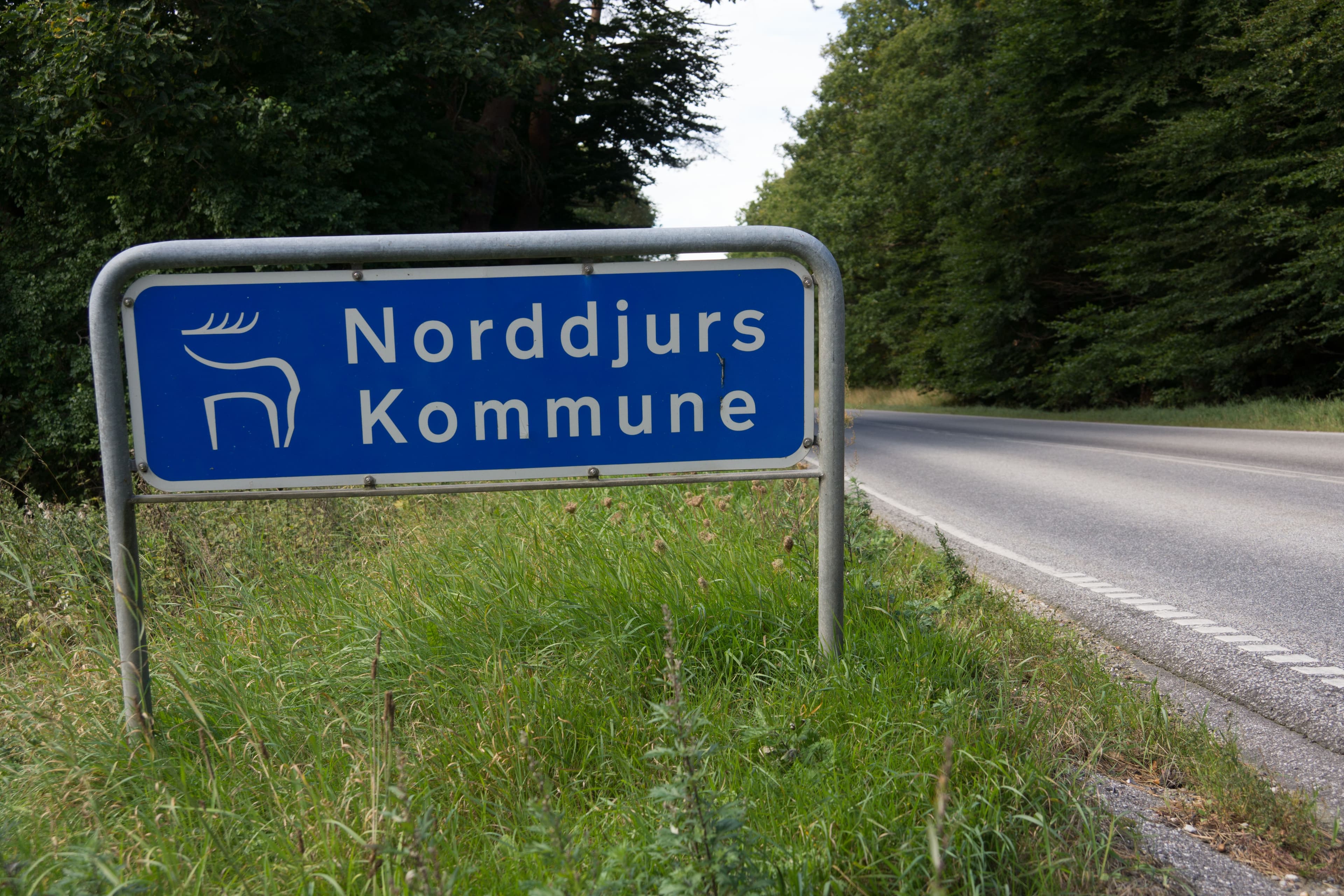 - Udbudsreglerne skal sikre en lige konkurrence og lige adgang til de offentlige kontrakter. Selvfølgelig er formålet også, at den offentlige indkøber skal købe bedst og billigst muligt ind. Det gør man gennem et udbud, så derfor er det alvorligt, at reglerne ikke er overholdt, siger Steen Jensen, ekspert i udbudsret.