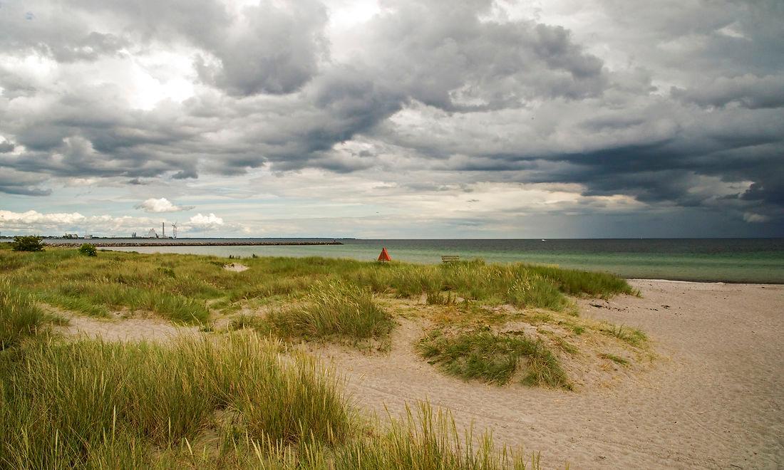 Køge Strandpark har været undervejs i mange årtier, og området er et enestående eksempel på, hvordan naturpleje, rekreative områder og klimatilpasning/kystsikring kan forenes.