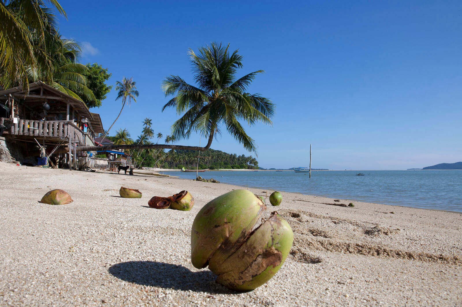 Som noget nyt foreslås, at ordregiver skal forpligtes til at udelukke tilbudsgivere i skattely som Amerikansk Samoa, Fiji, Guam, Panama, Samoa, Trinidad og Tobago og De Amerikanske Jomfruøer. Derimod har man ikke interesseret sig for at gøre lovmaterialet mere overskueligt, konstaterer Anders Birkelund.