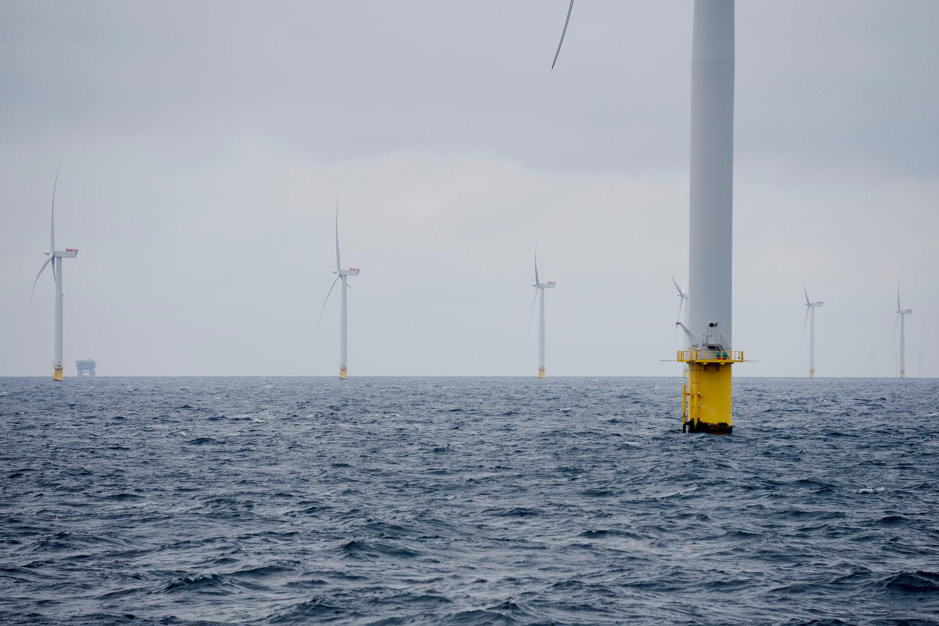 Håndbremsen på åben dør-ordningen, der blev introduceret i 1999, betyder helt konkret, at sagsbehandlingen af projekter for mere end 20 GW havvind sættes i bero, lyder det fra Green Power Denmark. 
