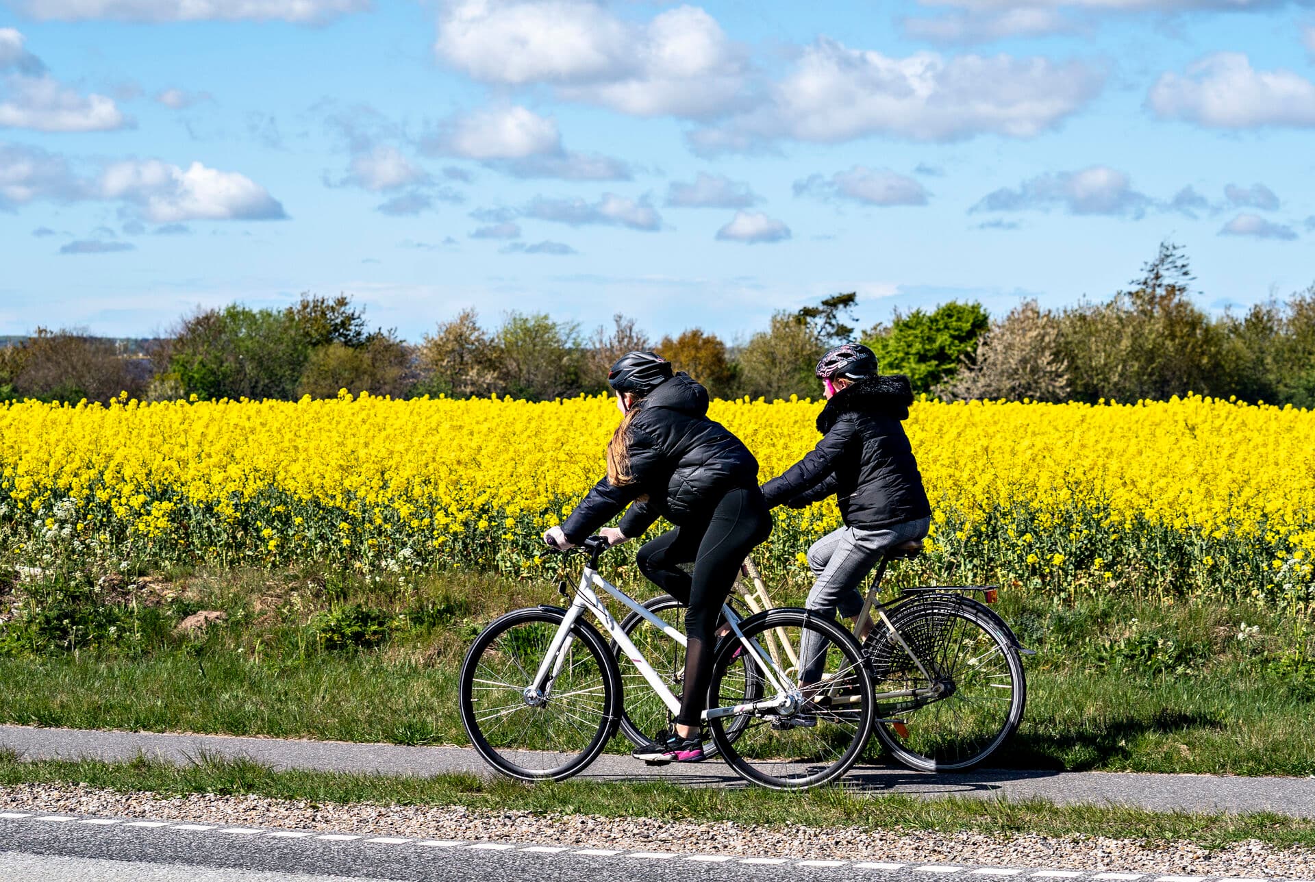   Bymennesker har generelt bedre indkomst, sundhed og uddannelsesniveau. Men dem, der bor i landdistrikterne, vurderer selv deres livskvalitet højere, viser en ny undersøgelse.