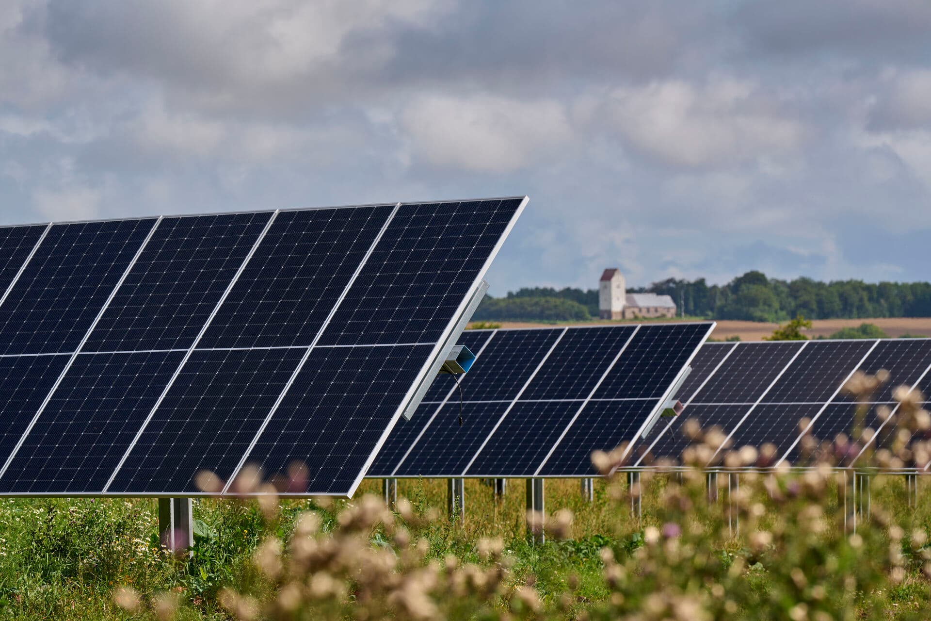 Solpaneler opstillet på markerne syd for GreenLab Skive, verdens første ægte grønne energipark. Kommunalpolitikere kan ikke vente på staten, men må henvise til egne initiativer og fremskridt for at kunne bruge grøn omstilling i valgkampen forud for KV25.