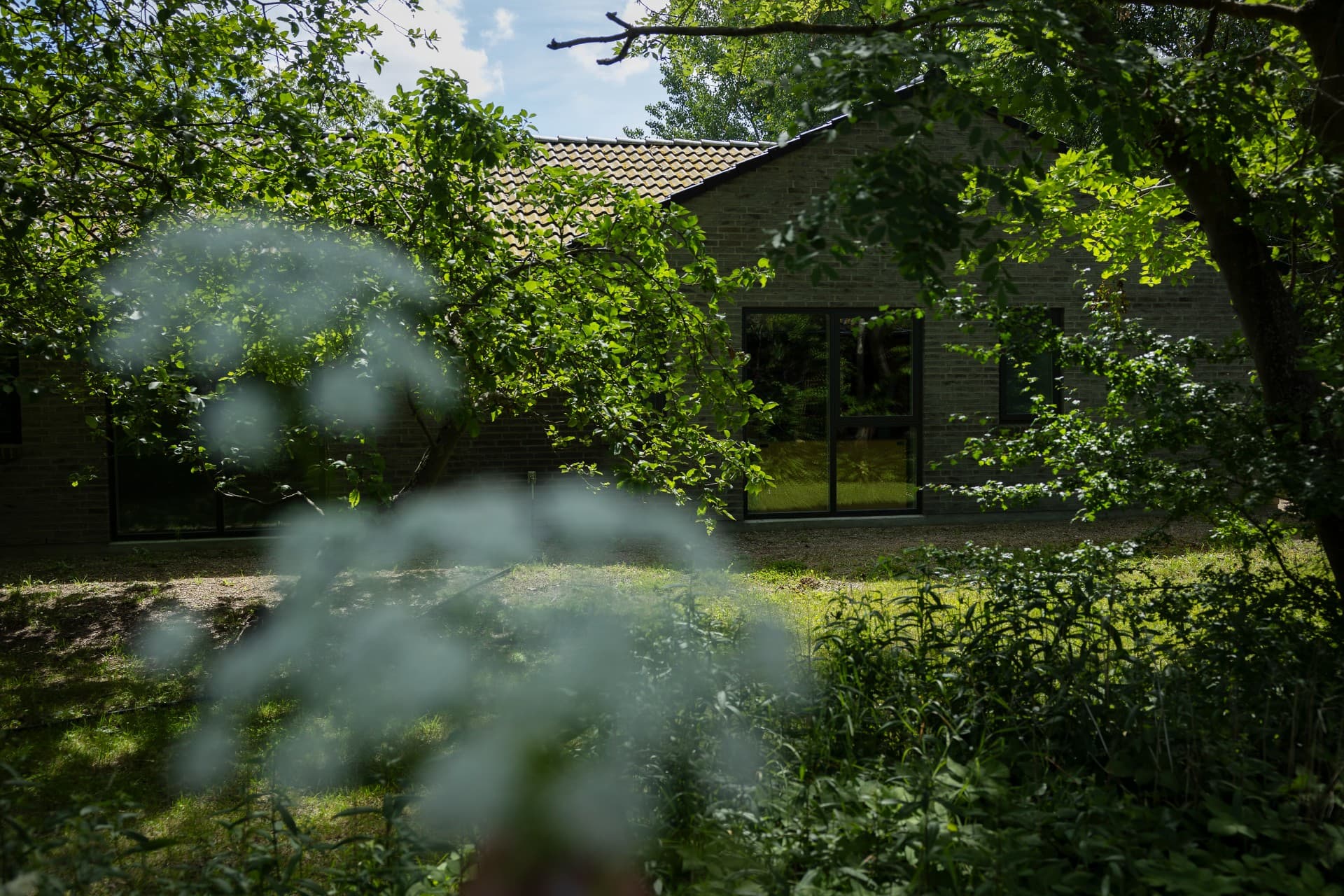 Det private bosted Mosefryd i Nordsjælland skal nu lukke, fremgår det af afgørelse fra Ankestyrelsen.