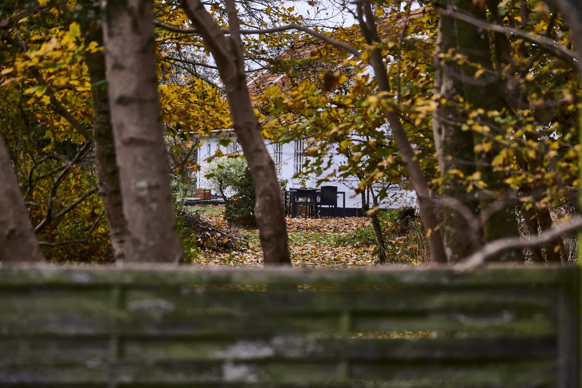 Det private botilbud NordCare er et af de steder, Kommunen.dk i samarbejde med Politiken.dk har skrevet om i forbindelse med rod i økonomien. Det er godt, at sagerne kommer frem i lyset. Også selvom de måske nok er med til at mistænkeliggøre de mange gode private – og offentlige – tilbud på det specialiserede socialområde. Selvfølgelig ville jeg ønske, at de her sager slet ikke fandtes, skriver Benny Andersen.