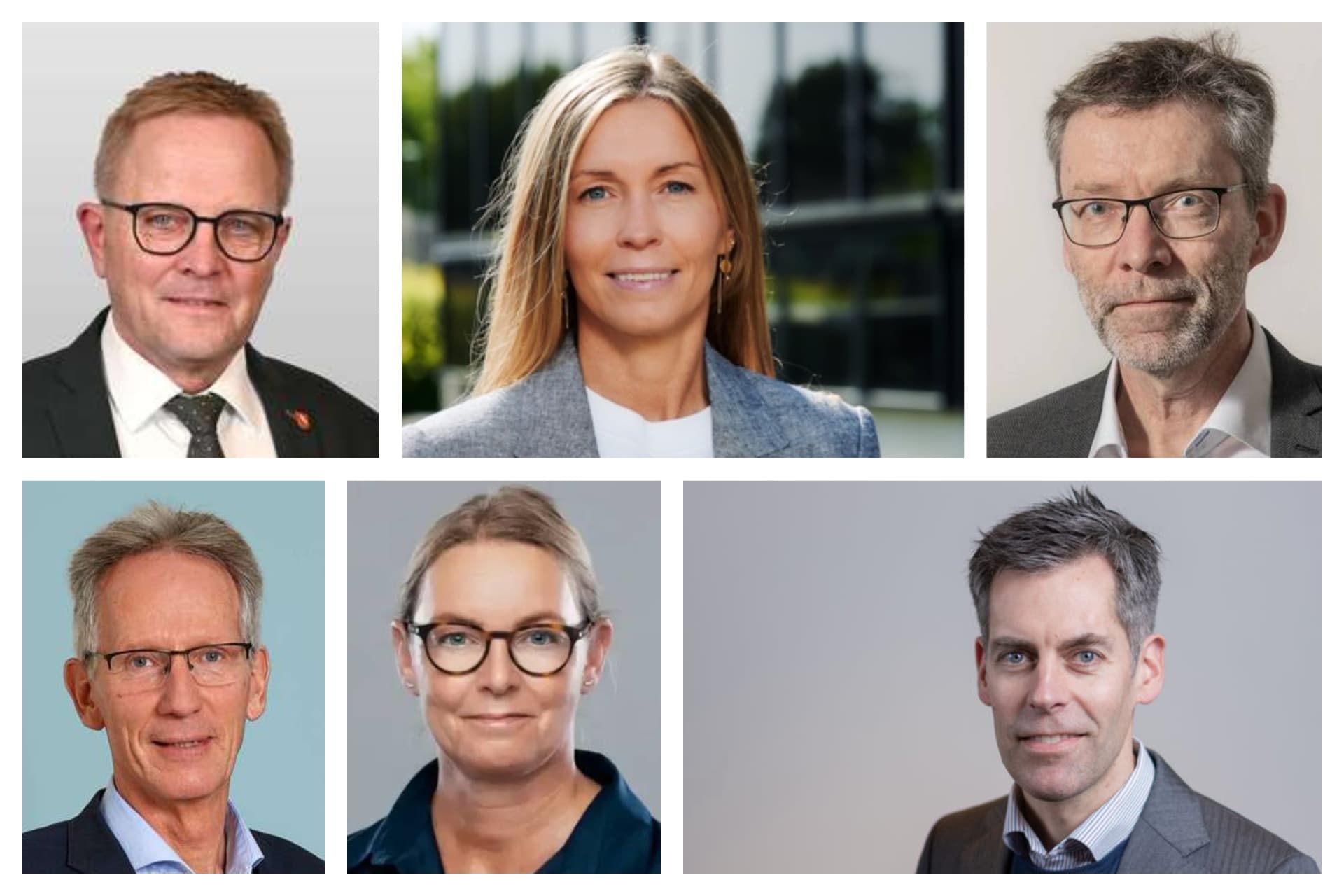 Øverst fra venstre: Hans Ejner Bertelsen (V) , afgående borgmester og kommunalpolitiker i Morsø, Malene Møller Nielsen, fastansat IT-direktør i Region Nordjylland, Erik Meldgaard Bendorf,afgående kommunaldirektør i Svendborg,  Søren Bonde, afgående kommunaldirektør i Guldborgsund, Ane Kristine Christensen, konstitueret kommunaldirektør i Roskilde og Jens Gordon Clausen, kommende regionsdirektør i Region Østdanmark.
