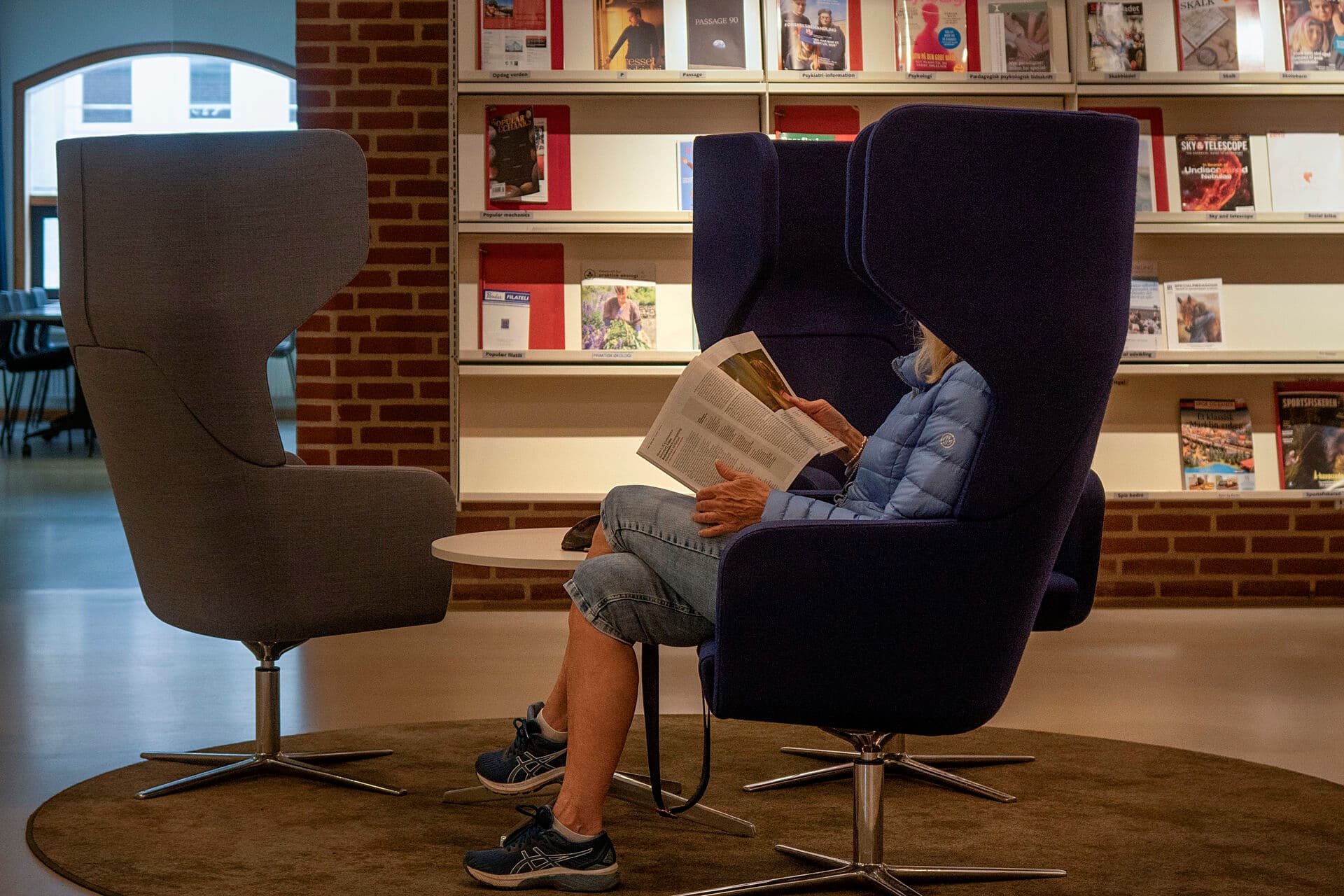 Evnen til at læse, forstå og forholde sig kritisk til information er afgørende i et samfund præget af sociale medier, kunstig intelligens og enorme informationsmængder. Derfor handler bibliotekernes arbejde også om demokratisk deltagelse, skriver Paw Østergaard Jensen.